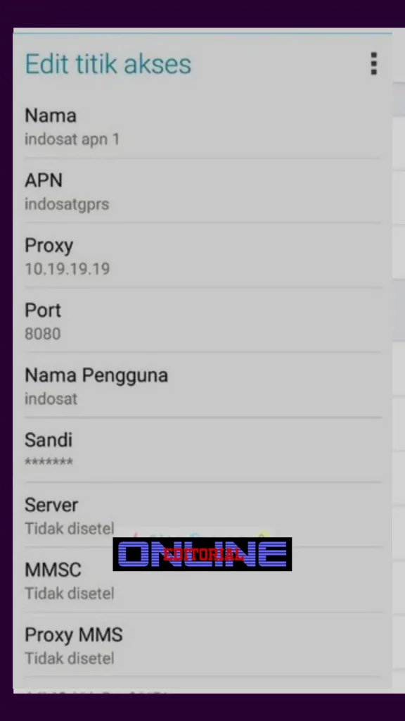 Pengaturan APN Indosat iPhone 